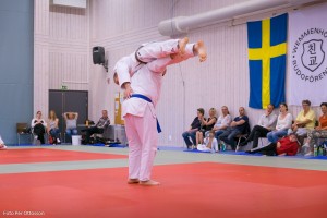 20160508 107 - Per Ottosson